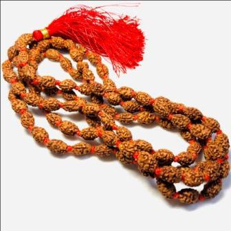 2 Mukhi Rudraksha Mala